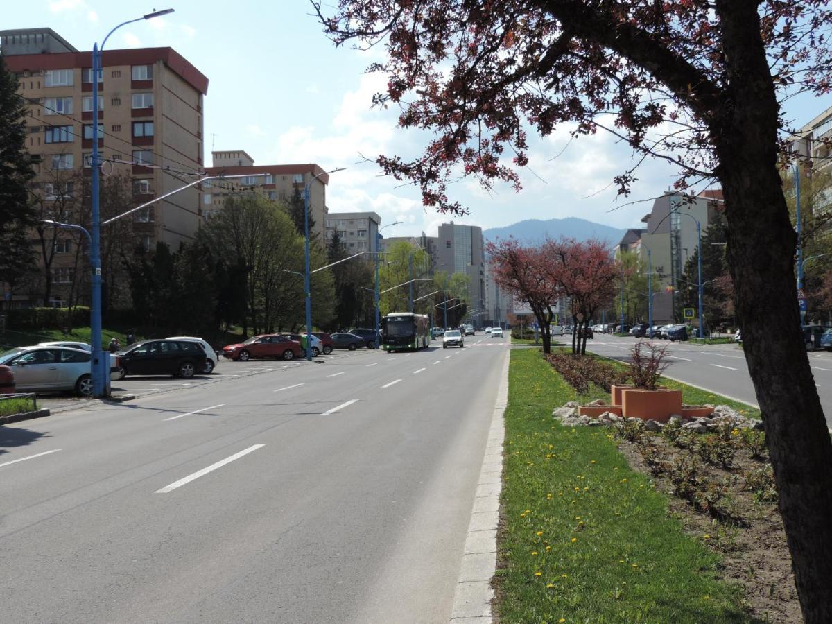 Victoriei Boulevard Private Apartment บราชอฟ ภายนอก รูปภาพ